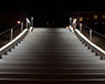 ASF LED Spotlight LED Illuminated Handrailing